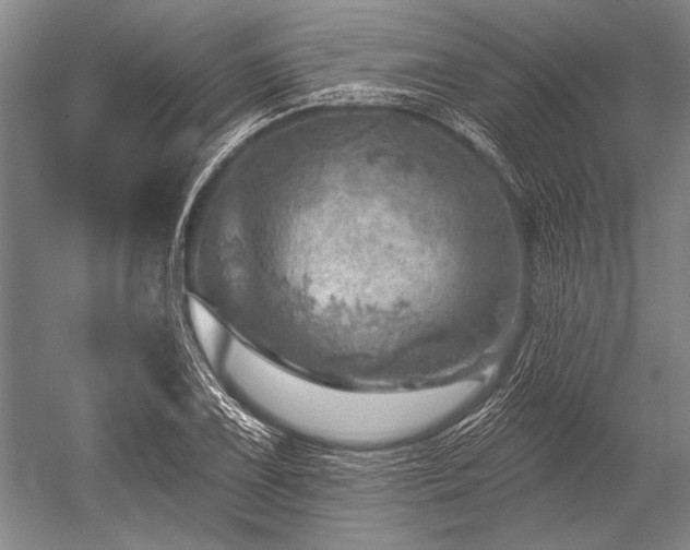 X0000052571075200507081655