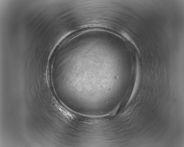 X0000052571076200507081655