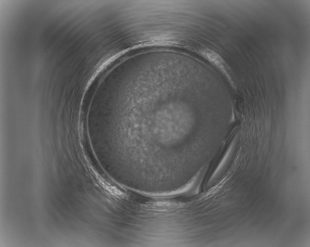 X0000052571077200507081655