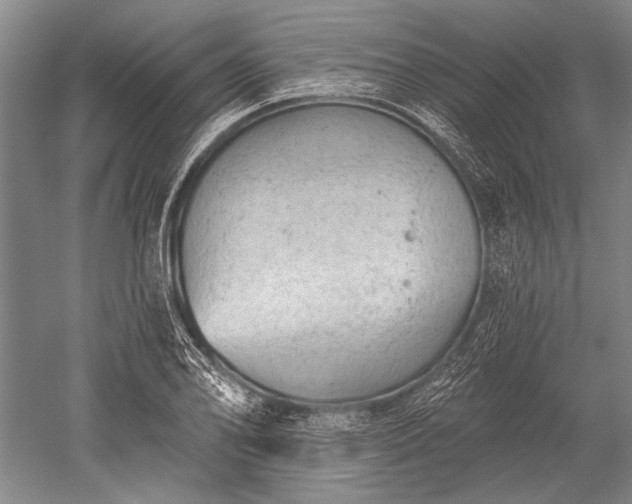 X0000052571078200507081655