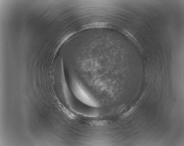 X0000052571081200507081655