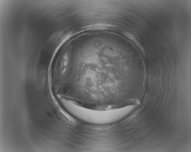 X0000052571083200507081655