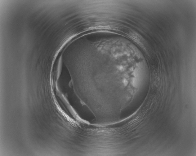 X0000052571084200507081655