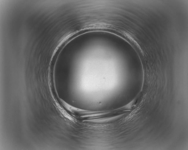 X0000052571085200507081655