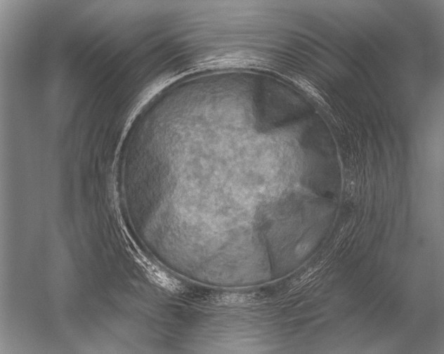 X0000052571086200507081655