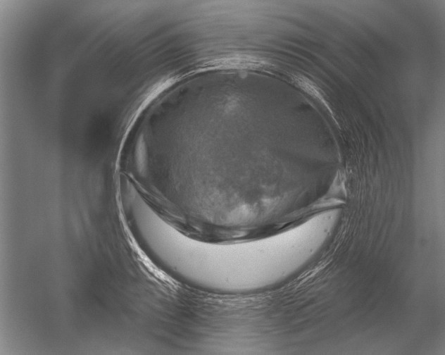 X0000052571087200507081655