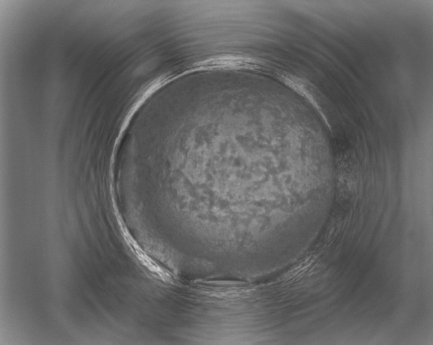 X0000052571091200507081655