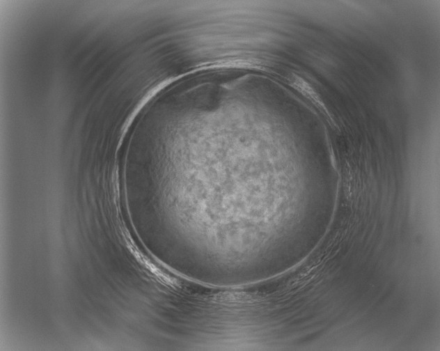 X0000052571092200507081655