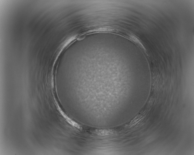 X0000052571095200507081655