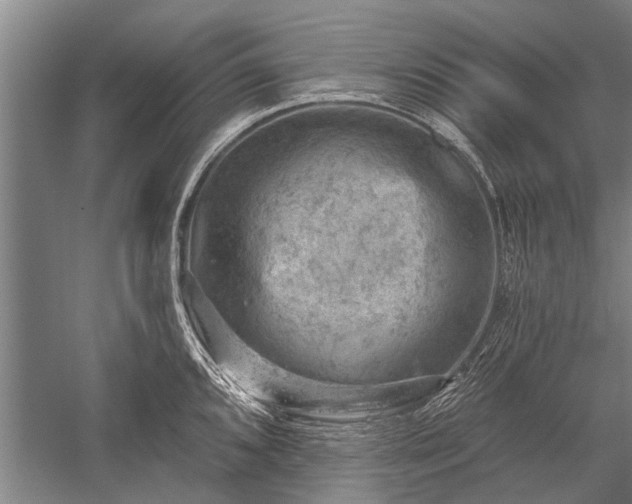 X0000052571096200507081655