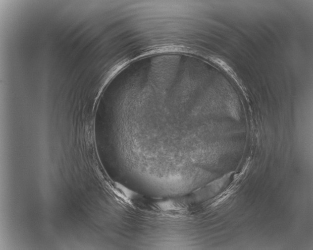 X0000052571097200507081655