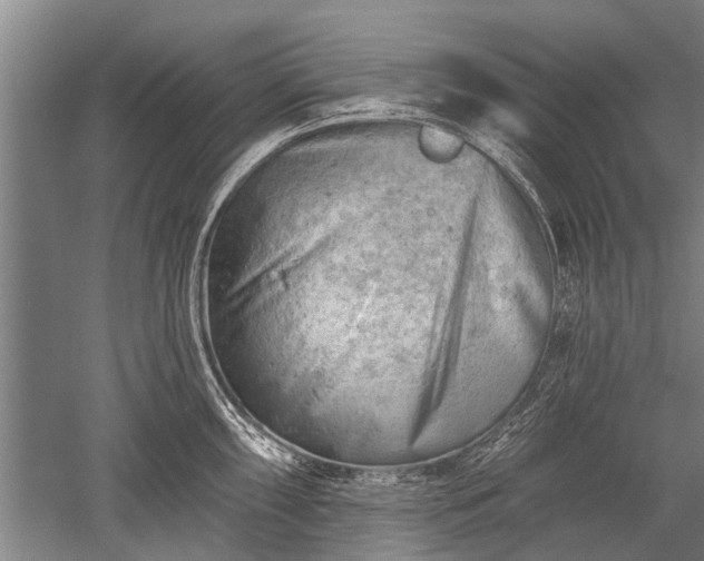 X0000052571098200507081655