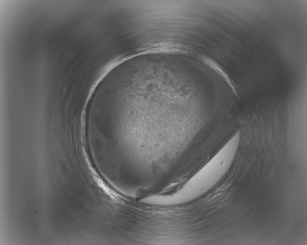 X0000052571099200507081655