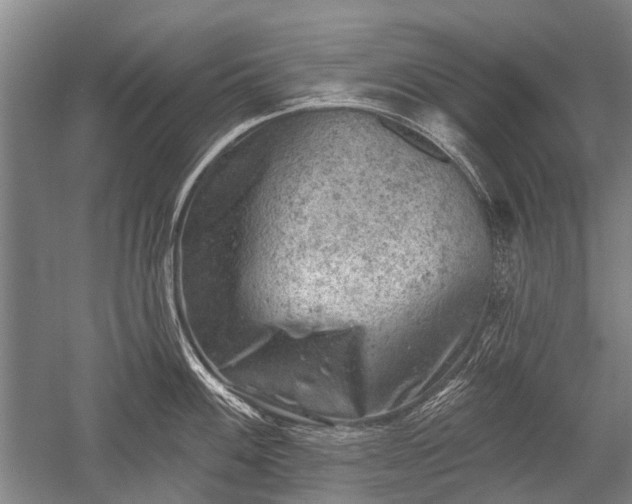 X0000052571100200507081655