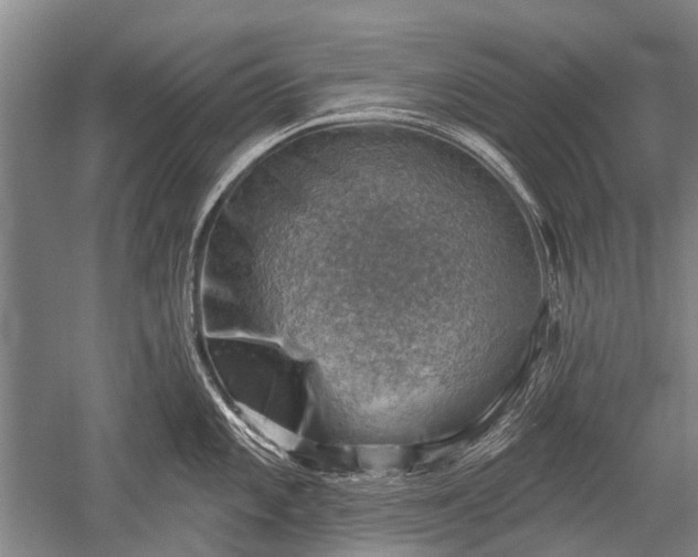 X0000052571101200507081655