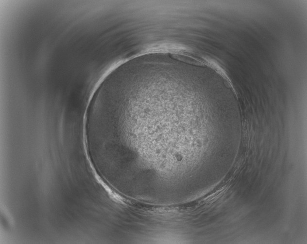 X0000052571103200507081655