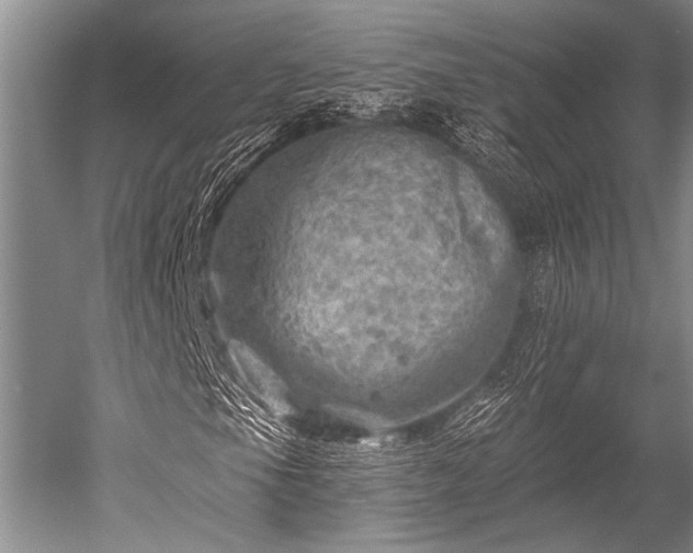 X0000052571105200507081654