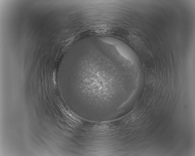 X0000052571106200507081654