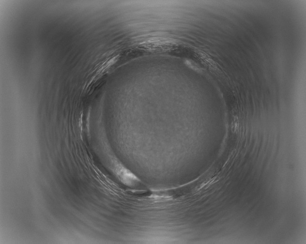 X0000052571108200507081654