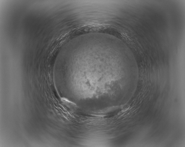 X0000052571109200507081654