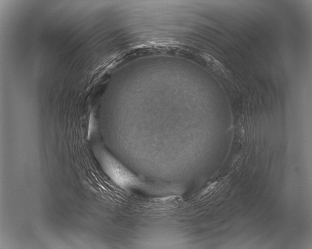 X0000052571110200507081654