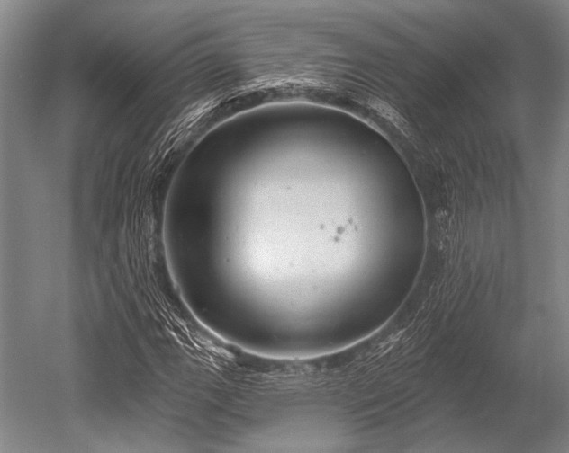 X0000052571111200507081654