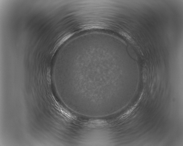 X0000052571113200507081654