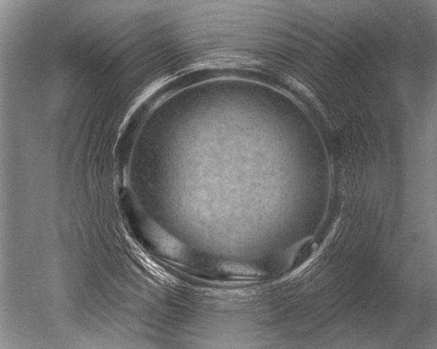 X0000052571114200507081654