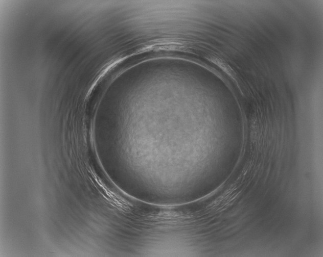 X0000052571115200507081654