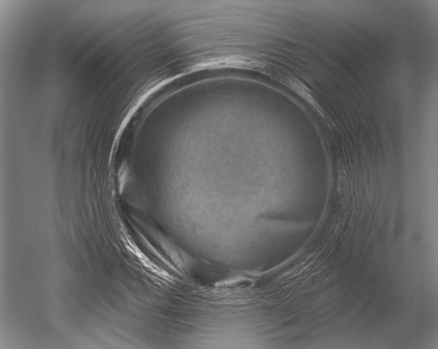 X0000052571116200507081654