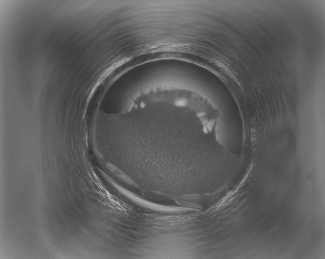 X0000052571117200507081654