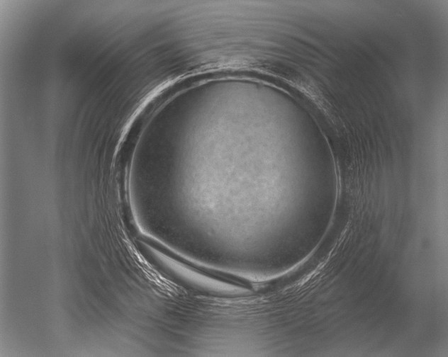 X0000052571118200507081654