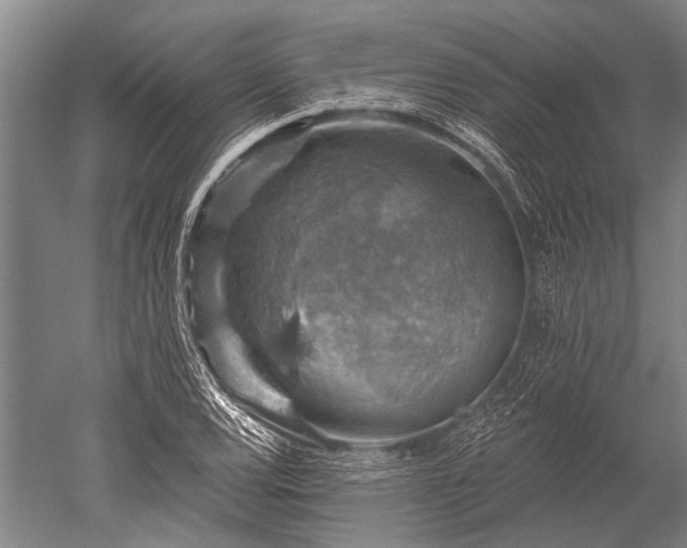 X0000052571120200507081654