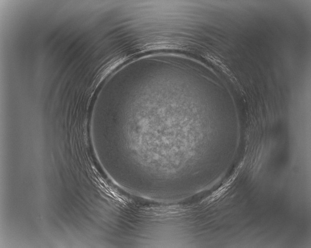 X0000052571121200507081654