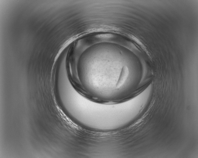 X0000052571122200507081654