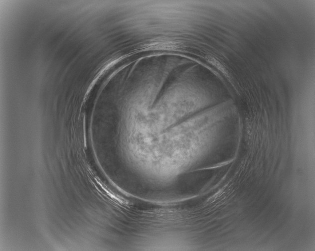 X0000052571123200507081654