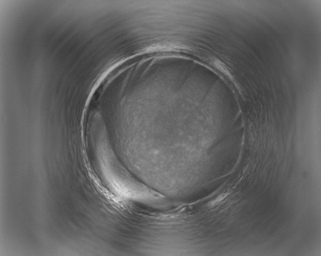 X0000052571124200507081654