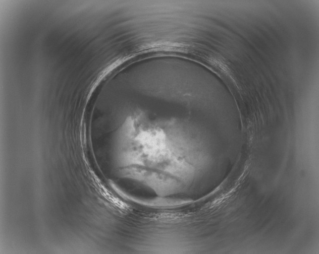 X0000052571125200507081654