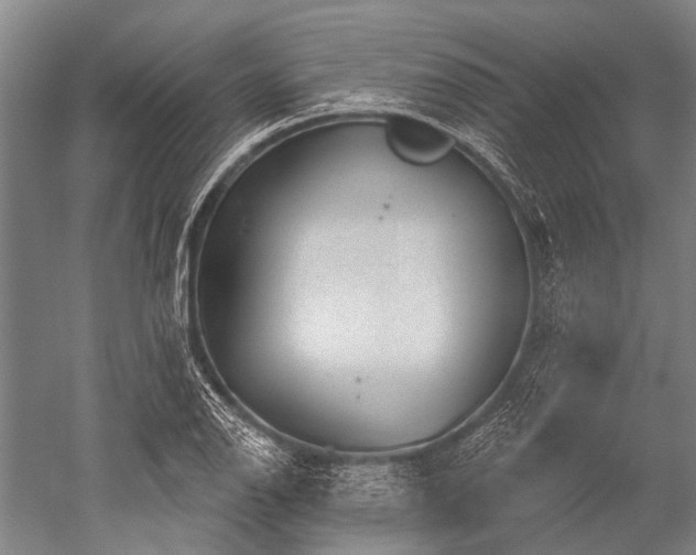 X0000052571126200507081655