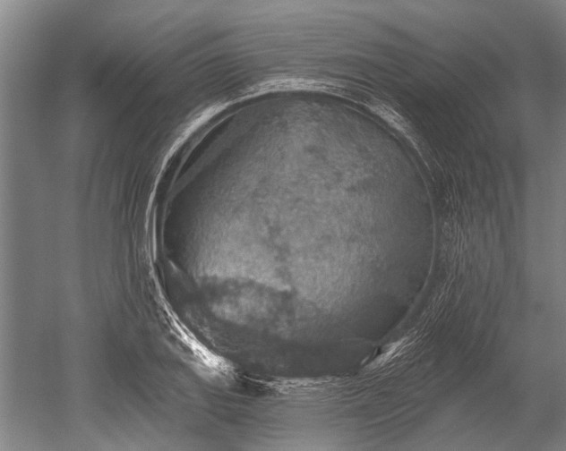 X0000052571127200507081655