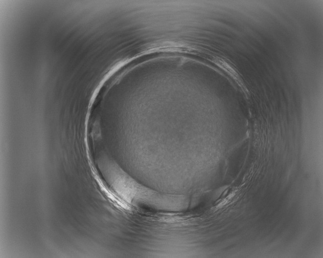 X0000052571128200507081655