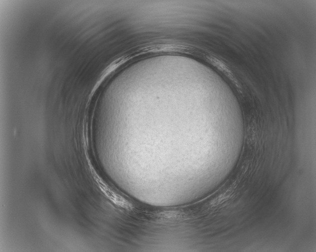 X0000052571130200507081655