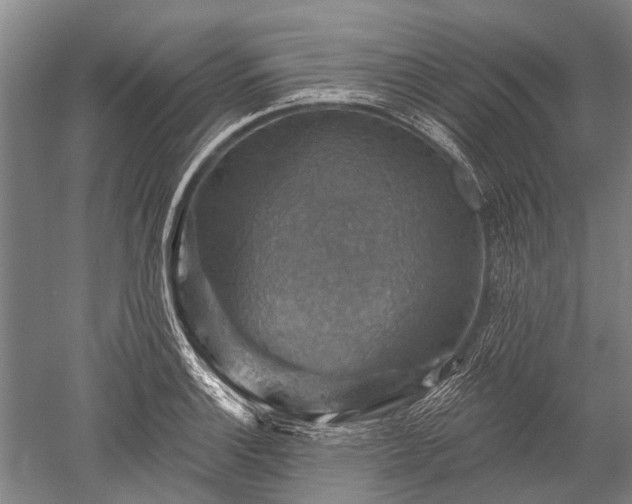 X0000052571132200507081655