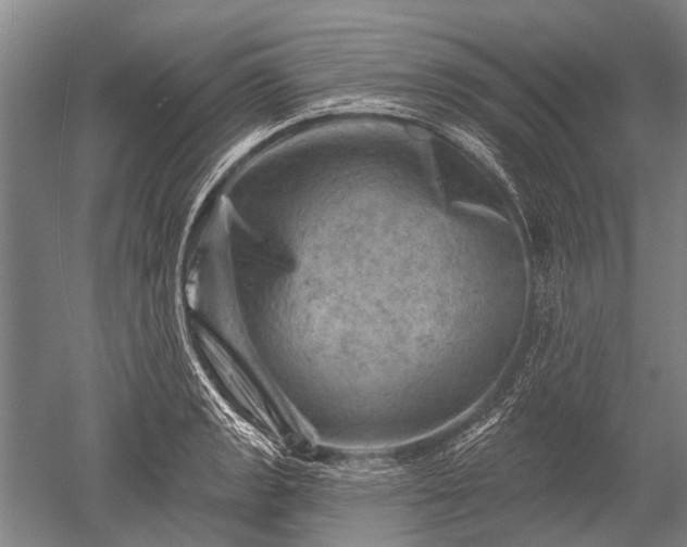 X0000052571133200507081655