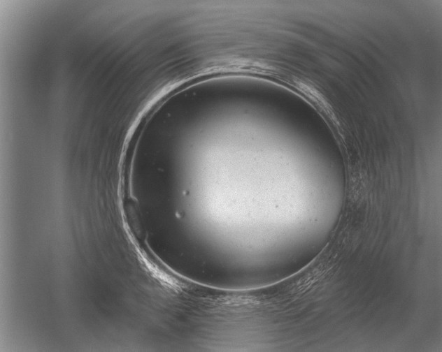 X0000052571136200507081655