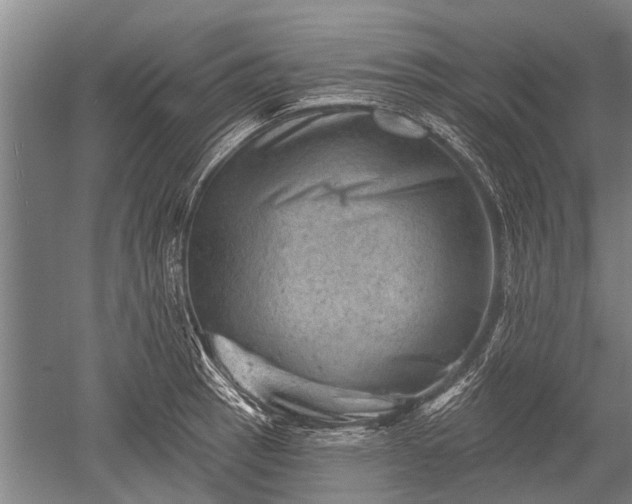 X0000052571137200507081655