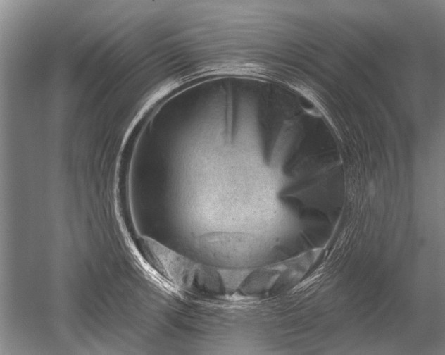 X0000052571139200507081655