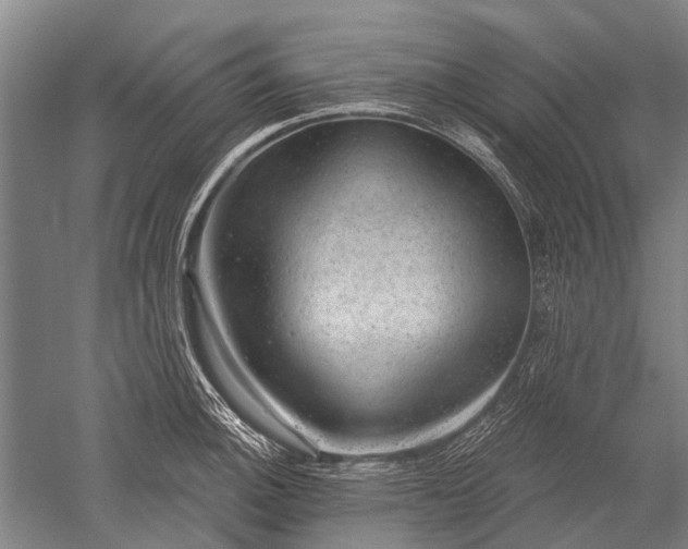 X0000052571140200507081655