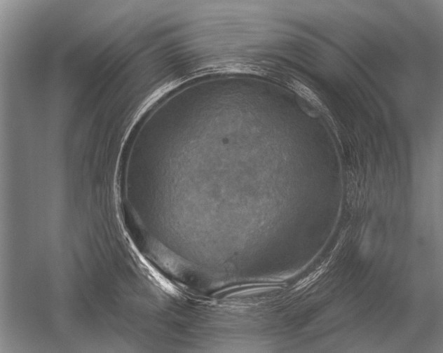 X0000052571141200507081655