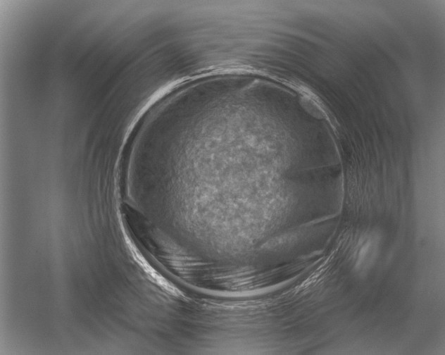 X0000052571142200507081655